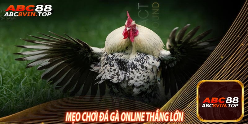 Mẹo Chơi Đá Gà Online Thắng Lớn